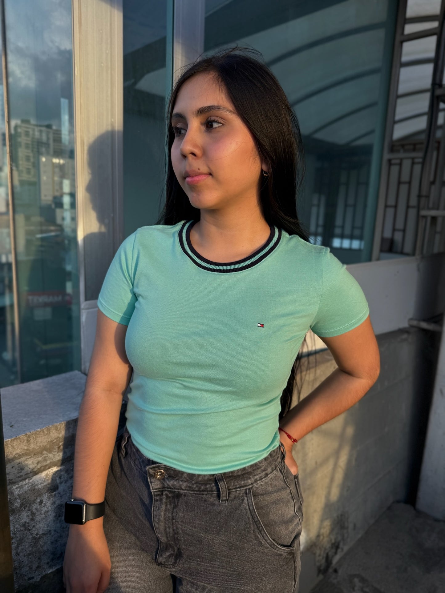 Camiseta Tommy Hilfiger Básica Verde Menta