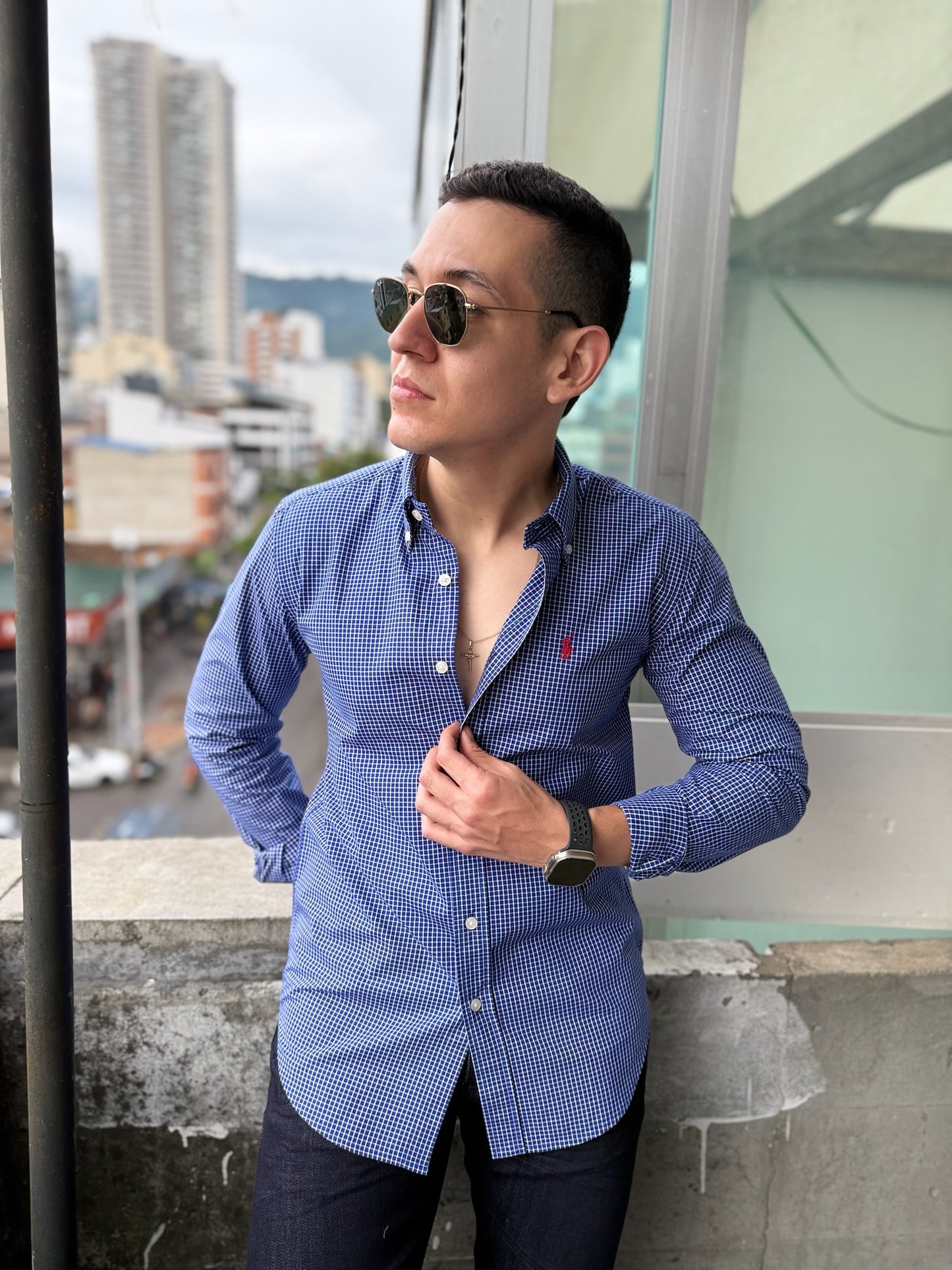 Ralph Lauren Cuadros Azules